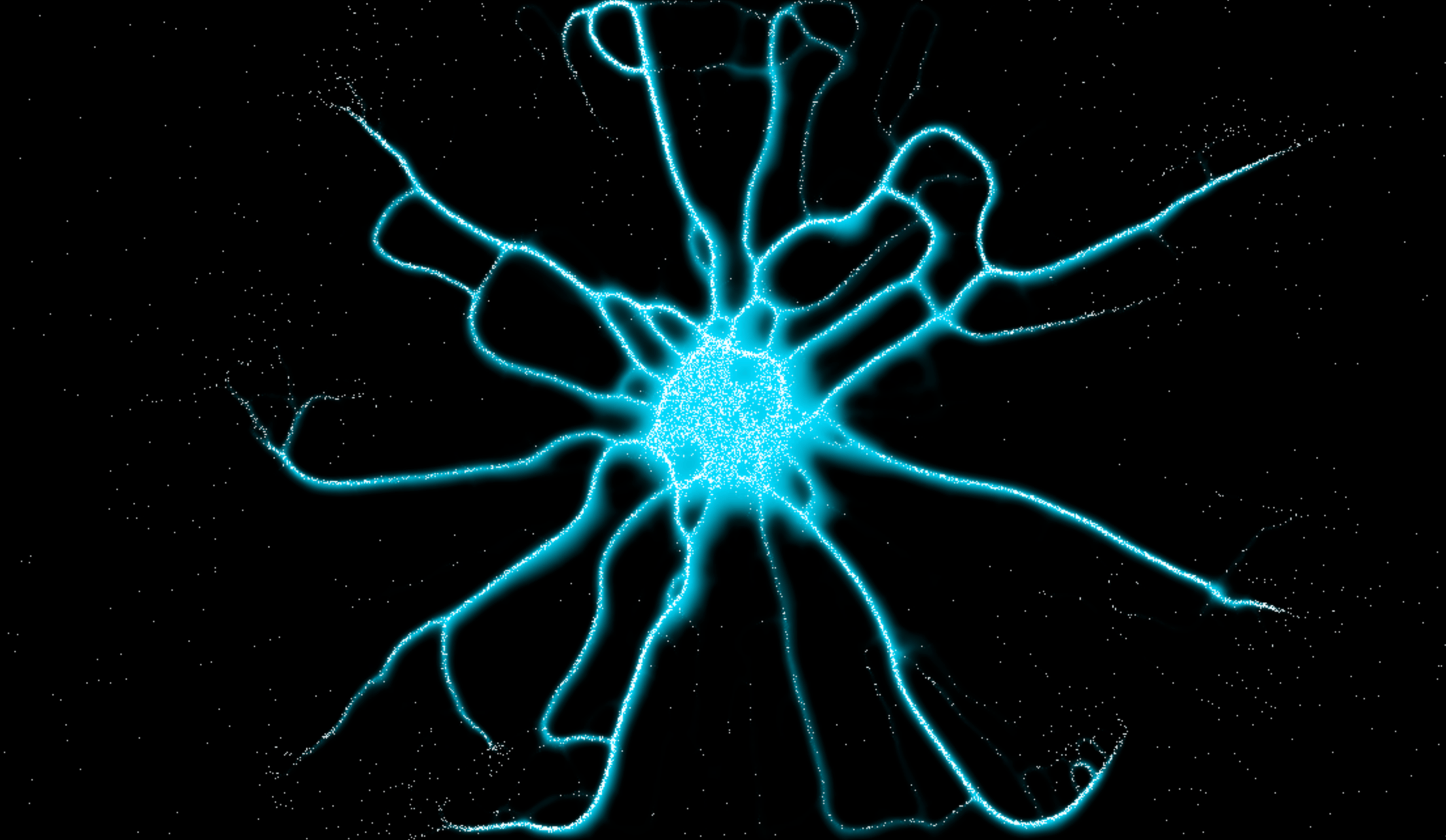 Slime Mold Simulation