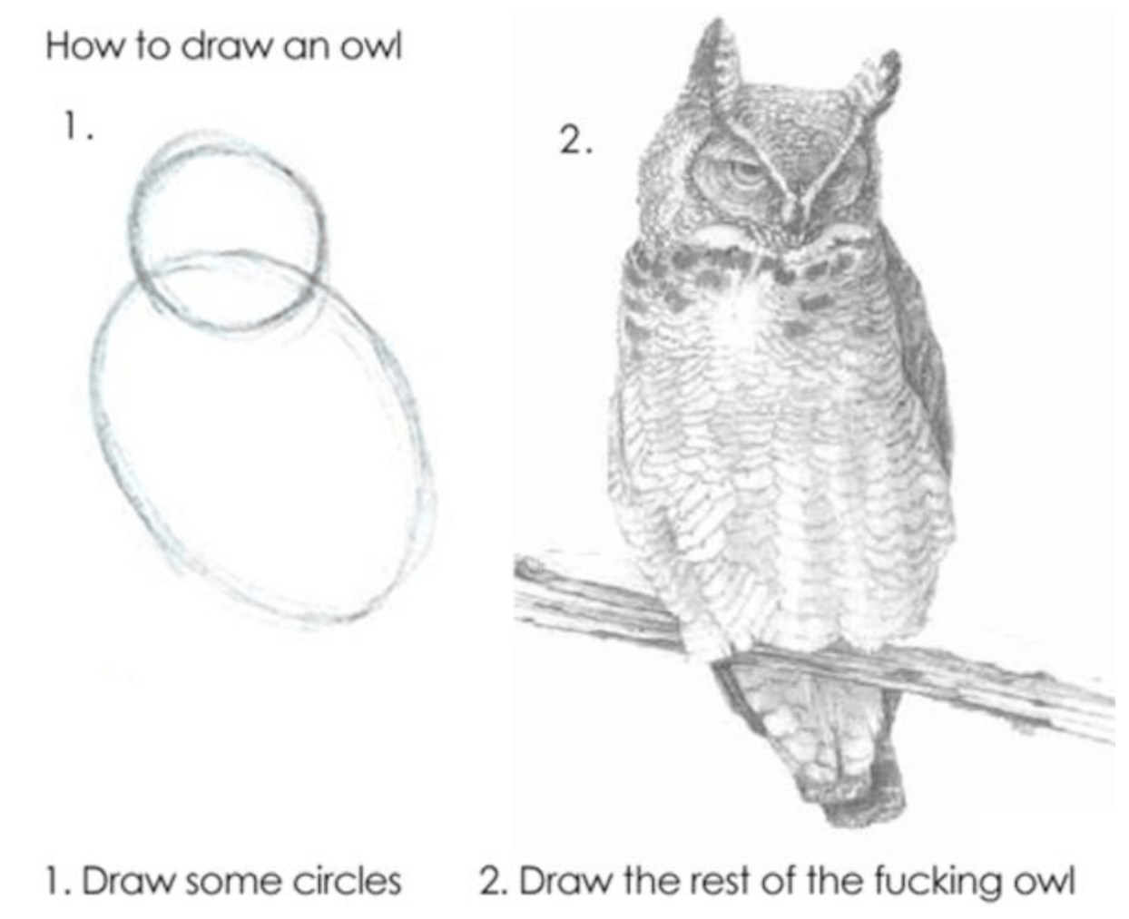 how to draw an owl meme